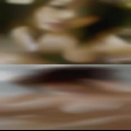 Find girl fuck Tracy
