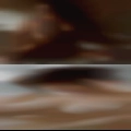 Milfs fuck Chico