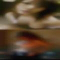 Greenville, BBW swingers