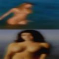Sluts rooster swingers